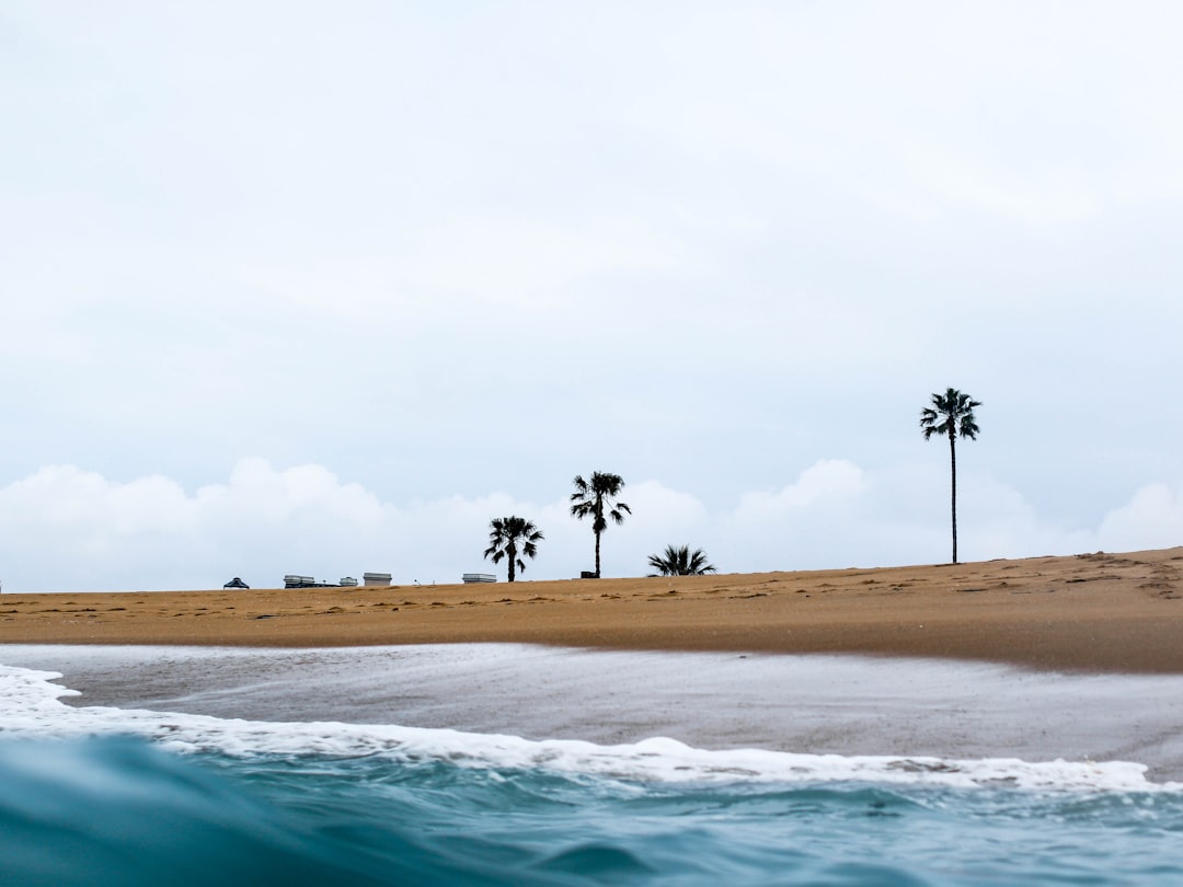 Ultimate Guide to the Best Things to Do in Anaheim California for Families and Travelers